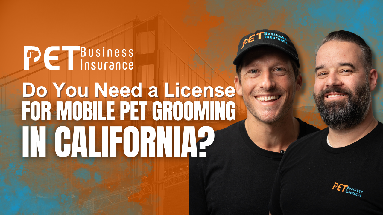 How to Start a Mobile Dog Grooming Business | Time To Pet