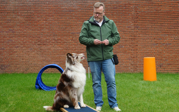 Lone Star Dog Training Lone Star Dog Training