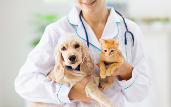 rural pet business