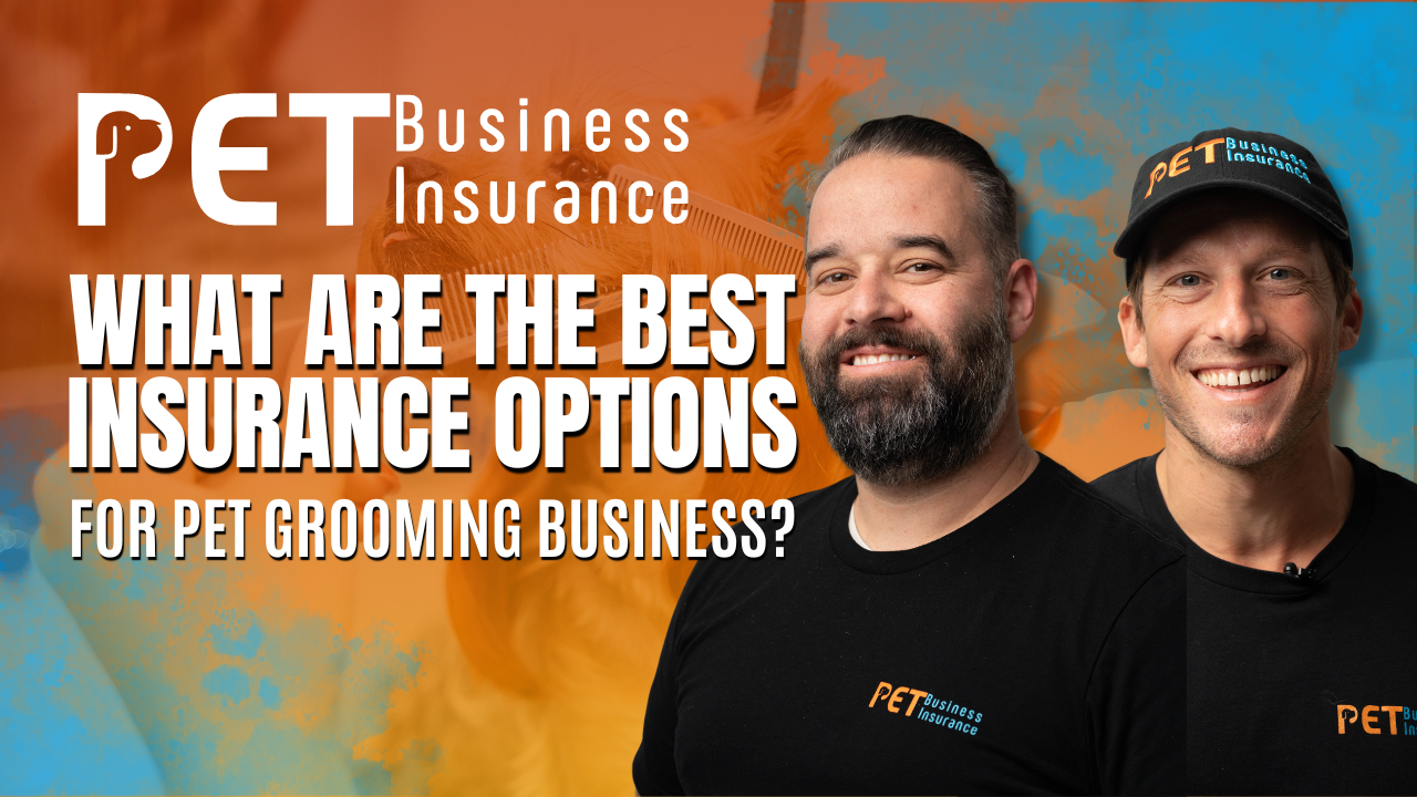 How to Build a Dog Grooming Business Plan in 2025 - MoeGo