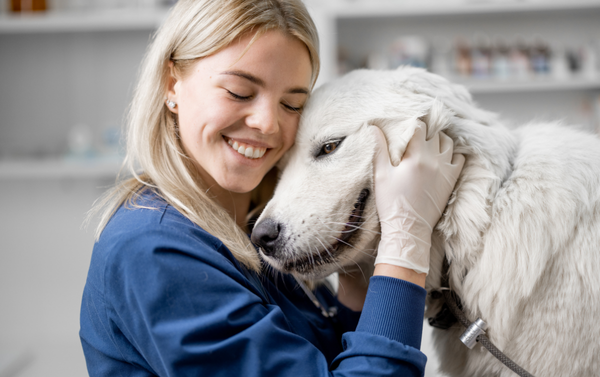 Veterinary professionals who need malpractice insurance