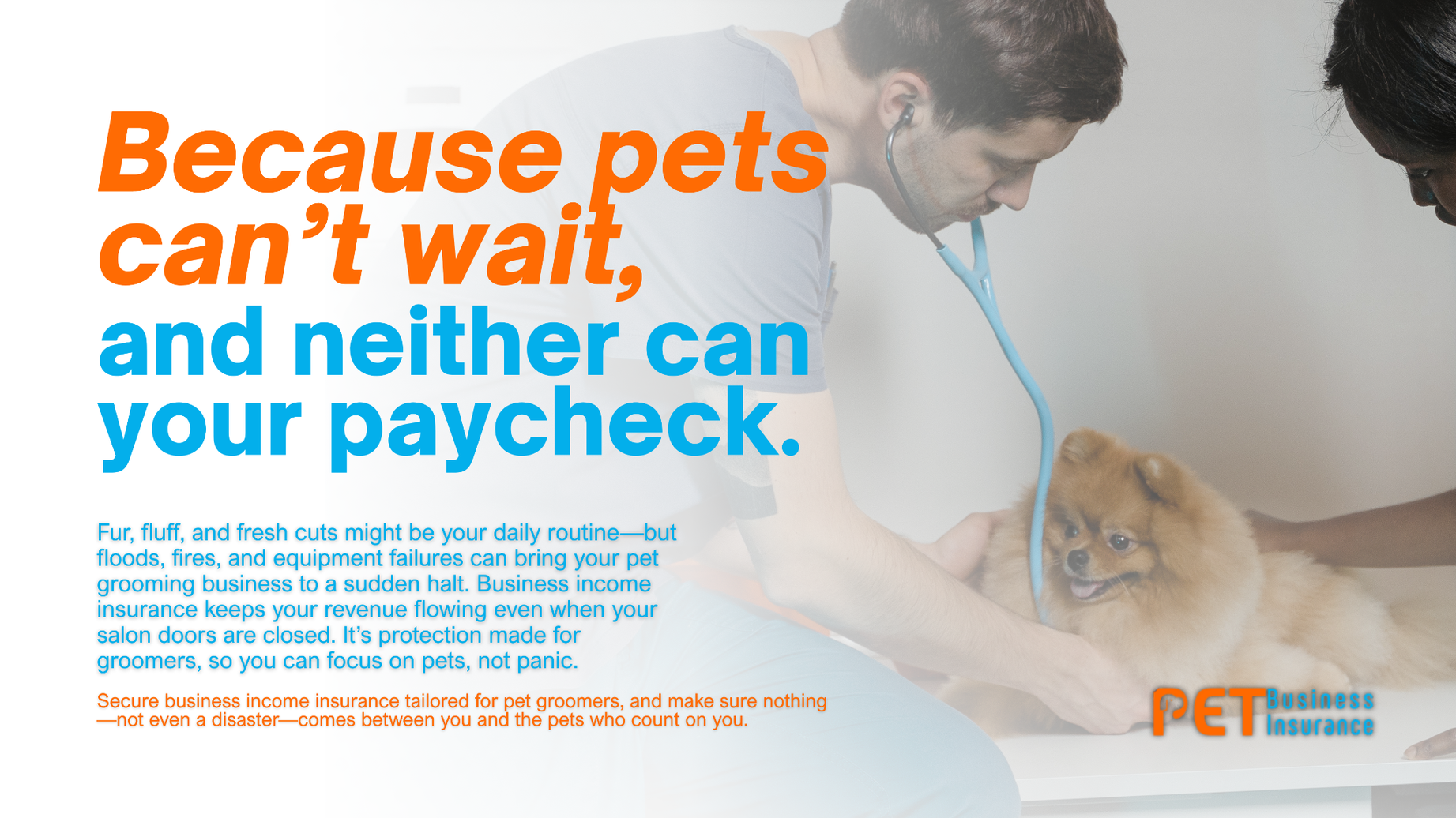 Picture of Mobile Pet Grooming Business Plan: 7 Steps & 5-Year Forecast;