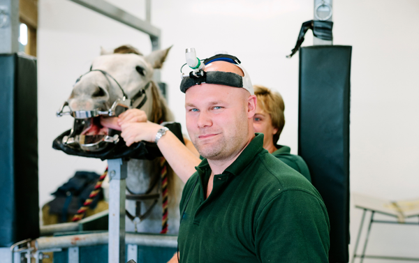 Why equine vets choose us