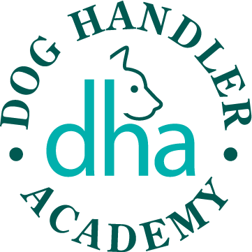 DHA Logo Teal DHA Logo Teal