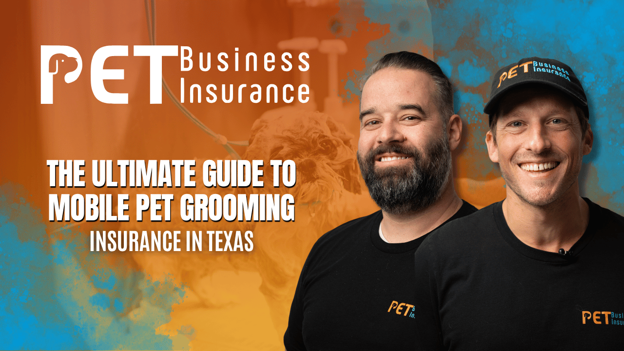 Your Guide: How To Start Mobile Dog Grooming Business