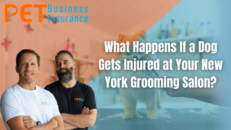 Pet Business Insurance banner showing two groomers with arms crossed next to text reading “What Happens If a Dog Gets Injured at Your New York Grooming Salon?” with a blurred background of a dog being groomed.