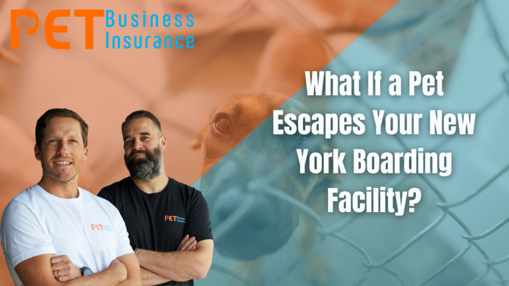 Pet business insurance experts discussing what happens if a pet escapes a New York boarding facility